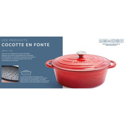 Cocotte norbert